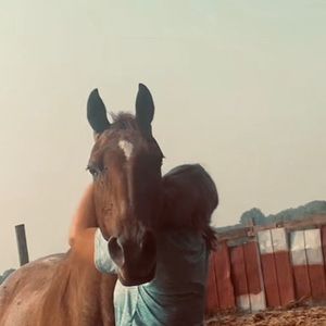 Meet your Posher, Liza